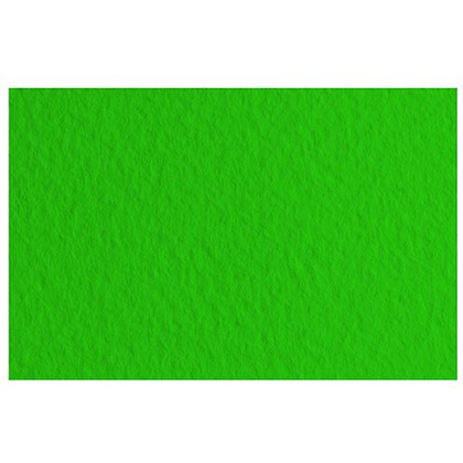 Бумага для пастели "Tiziano", А4, 160 г/м2, зеленый темный