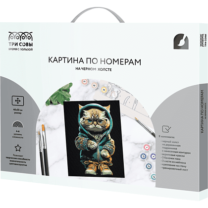 Картина по номерам "Стильный кот"