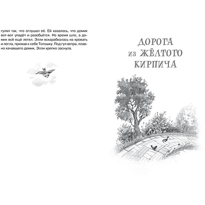 Книга "ЧЛУ. Волшебник Изумрудного города", Александр Волков - 6