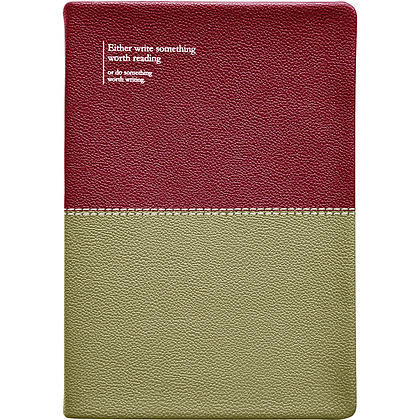 Ежедневник недатированный "Prague", А5, 320 страниц, ягодный, оливковый