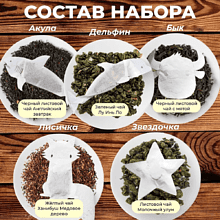 Чай с фигурными пакетиками Tea with Love "Madero", 5 пакетиков х 4 гр, ассорти 