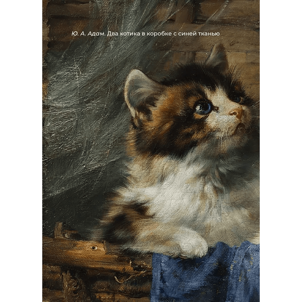 Книга "Котики и кошки. Избранная лирика с иллюстрациями" - 3