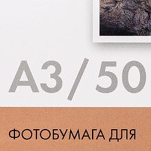 Фотобумага матовая для струйной фотопечати "Lomond", A3, 50 листов, 230 г/м2