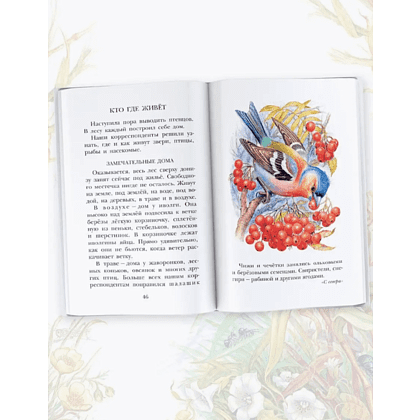Книга "Детское чтение. Лесная газета. Рассказы", Виталий Бианки - 4