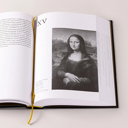 Книга "Палаццо Мадамы. Воображаемый музей Ирины Антоновой", Лев Данилкин - 10