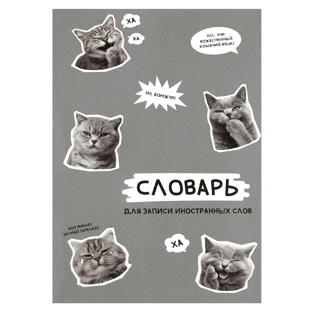 Тетрадь для записи иностранных слов "Стикеры с котами", А5, 24 листа, серый
