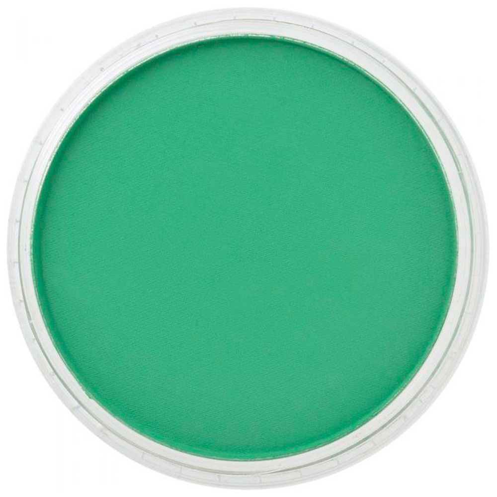 Ультрамягкая пастель "PanPastel", 640.5 зеленый перманентный