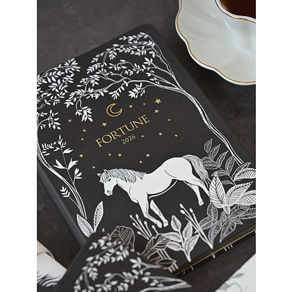 Ежедневник датированный "Fortune" на 2026 год, А5, черный - 8