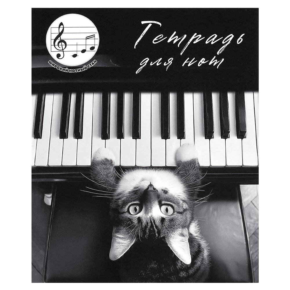 Тетрадь для нот "Кот-пианист", А5, 24 листа