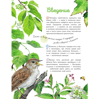 Книга "Растения в городе", Ирина Пескова - 7