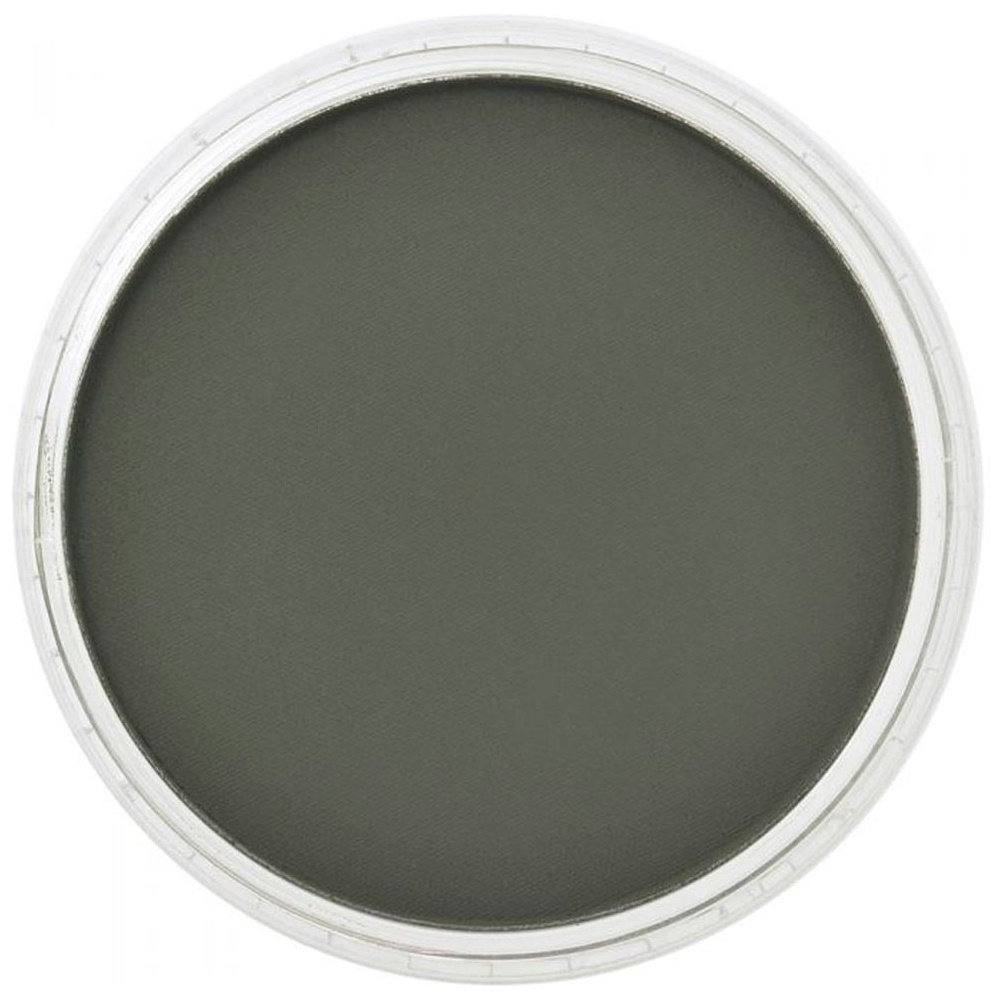 Ультрамягкая пастель "PanPastel", 660.1 хромовокислый зеленый темный