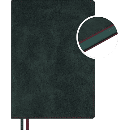 Ежедневник полудатированный "Тиволи Делавэ", А5, 384 страницы, зелёный - 2