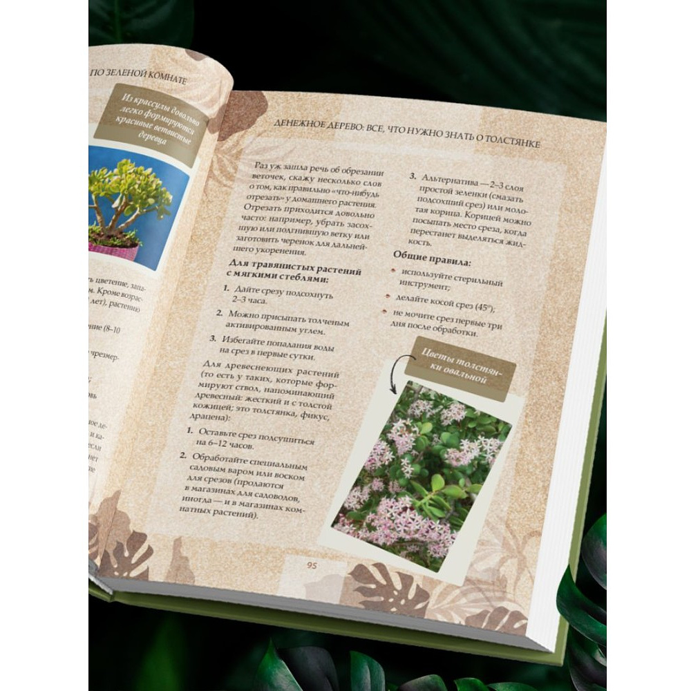 Книга "Зеленая комната. Как стать повелителем домашних джунглей", Илья Зеленов - 10