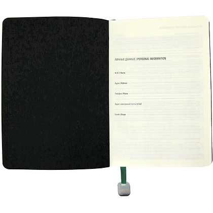 Ежедневник недатированный "Boomer", А5, 272 страницы, темно-зеленый - 4