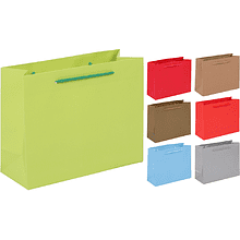 Пакет бумажный подарочный "231906", 24х19х10 см, ассорти