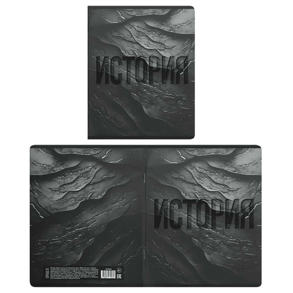 Набор тетрадей предметных "Black textures", А5, 48 листов, клетка, линейка, ассорти, 12 школьных предметов - 7