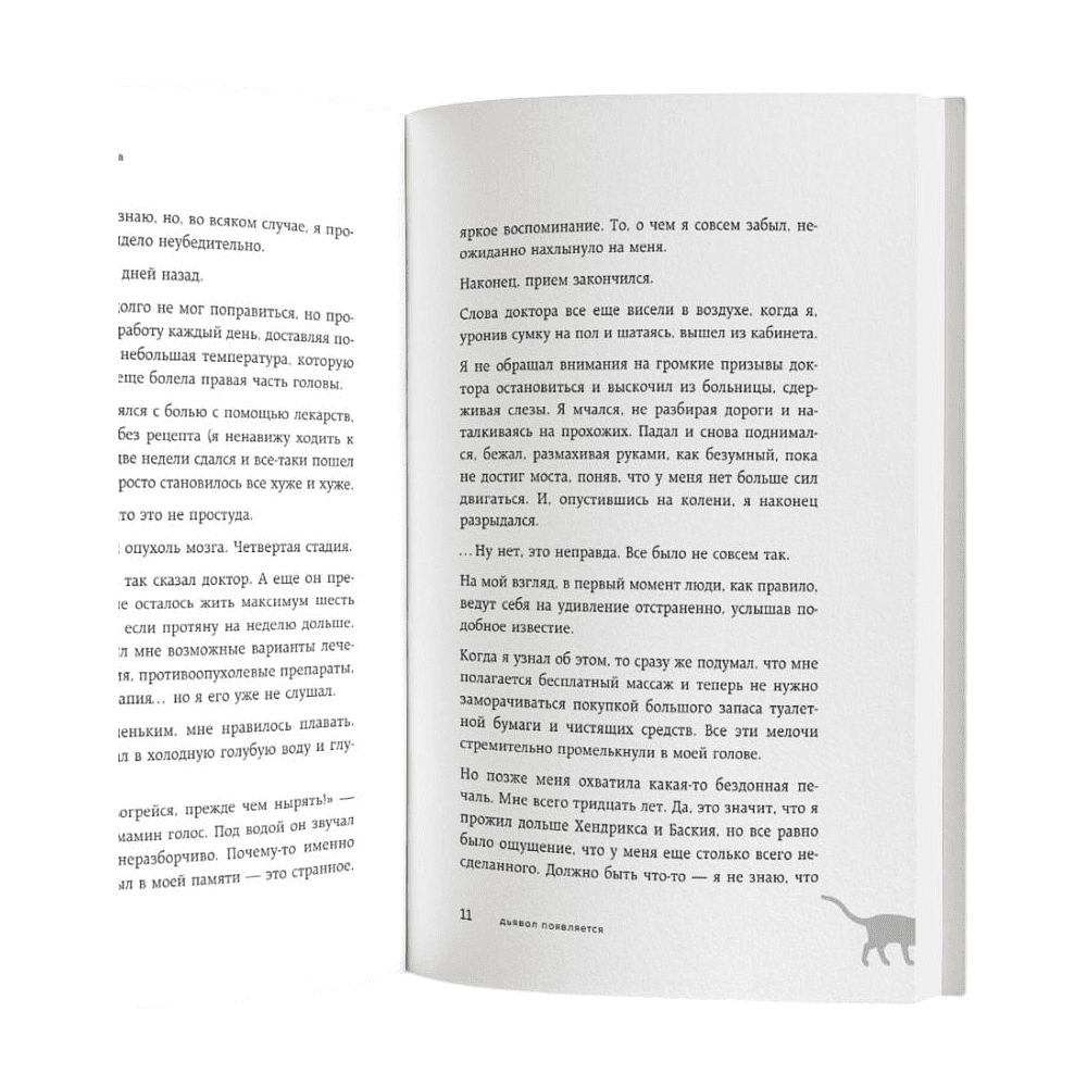 Книга "Если все кошки в мире исчезнут (подарочное издание)", Гэнки Кавамура - 12