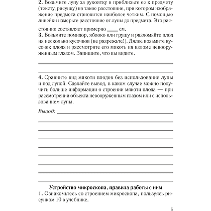 Биология. 6 класс. Тетрадь для лабораторных и практических работ, Лисов Н.Д., Борщевская Е.В. - 3