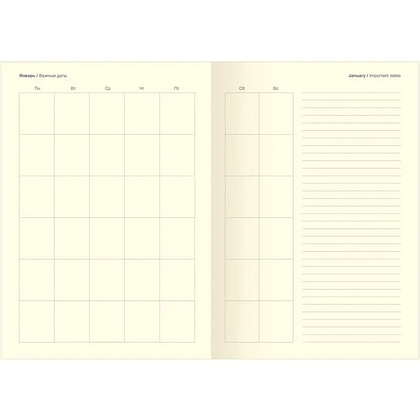 Ежедневник недатированный InFolio "365days", А5, 320 страниц, голубой - 2