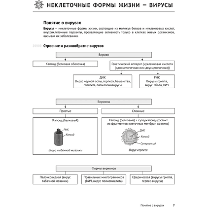 Книга "Биология. Опорные конспекты, схемы и таблицы. ЦЭ. ЦТ", Лисов Н. Д. - 6