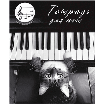 Тетрадь для нот "Кот-пианист", А5, 24 листа