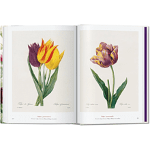 Книга на английском языке "The Book of Flowers", Pierre-Joseph Redoute
