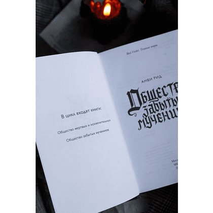 Книга "Общество забытых мучеников", Анви Рид - 3
