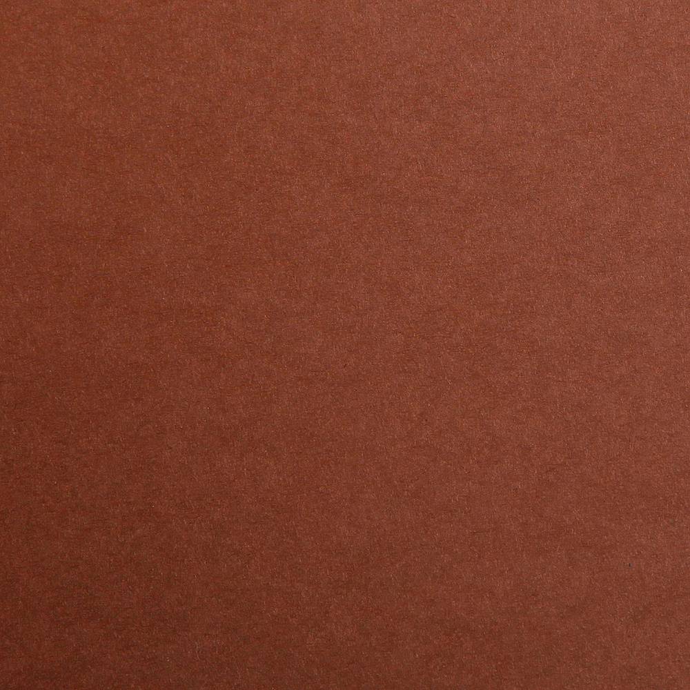 Бумага цветная "Maya", 50x70 см, 270 г/м2, коричневый - 2