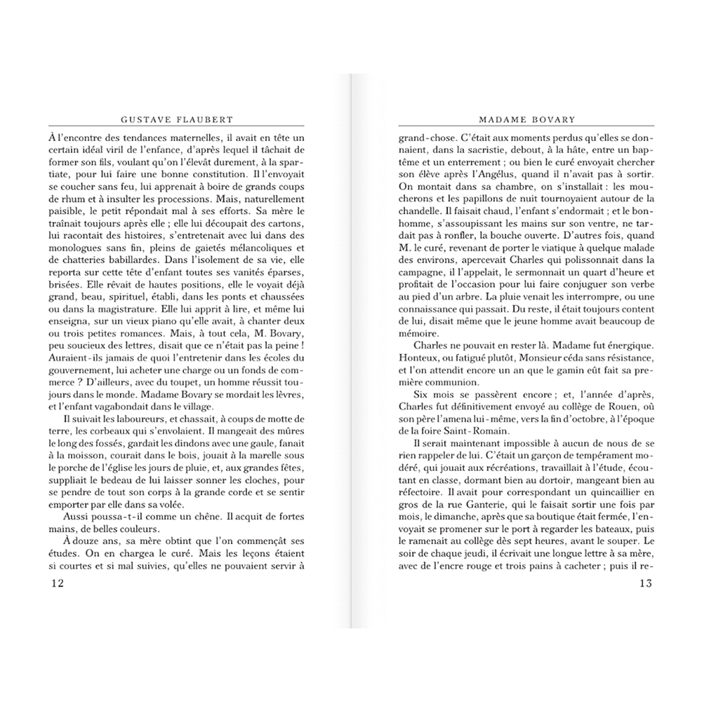 Книга на французском языке "Madame Bovary", Гюстав Флобер - 8