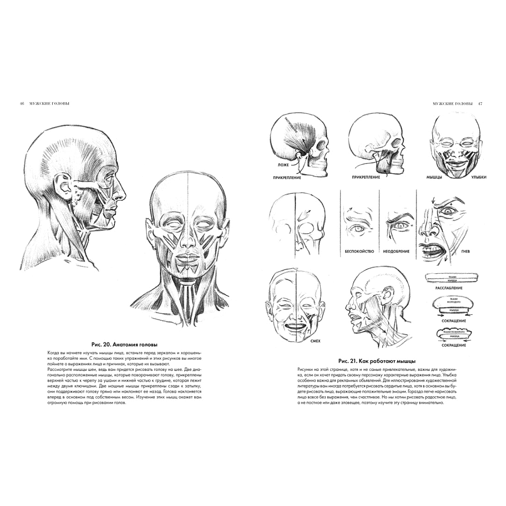 Книга "Рисование головы и рук", Лумис Э.  - 7