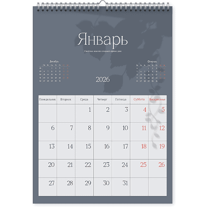 Календарь настенный перекидной "Shadow" на 2026, на спирали - 2
