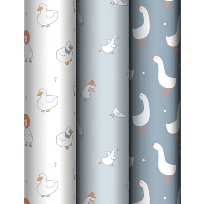 Бумага декоративная в рулоне "Goose set", 1х0.7 м, ассорти
