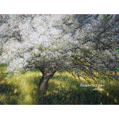 Кошелек "Май”, Вадим Богдан, текстиль, разноцветный - 4