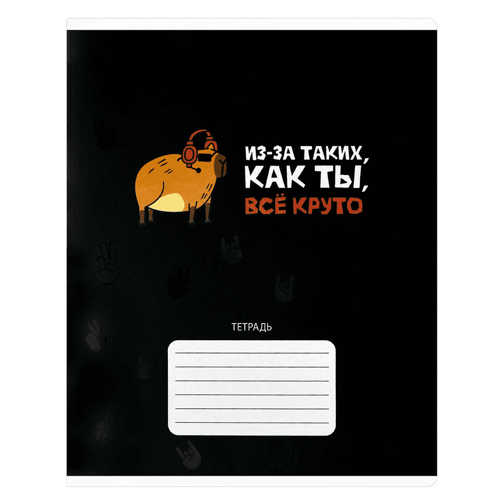 Тетрадь "Герои с характером", А5, 24 листа, клетка, ассорти - 2