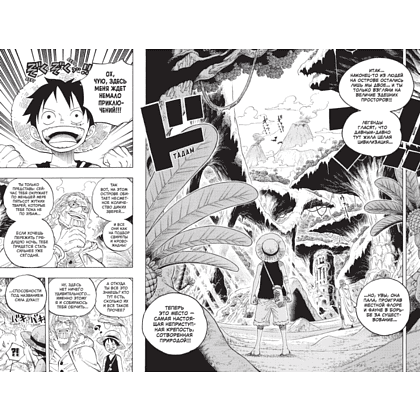 Книга "One Piece. Большой куш. Книга 21. На заре приключений: Новый Свет", Ода Э. - 4