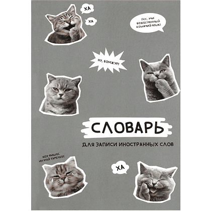 Тетрадь для записи иностранных слов "Стикеры с котами", А5, 24 листа, серый