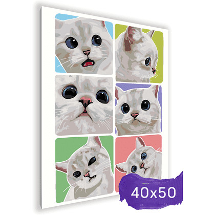 Картина по номерам "Эмоции белого котика" - 2 Картина по номерам "Эмоции белого котика" - 2