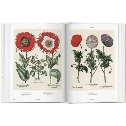 Книга на английском языке  "Florilegium. The Book of Plants. Garden at Eichstatt"  - 3