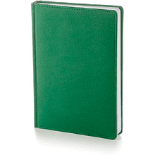Ежедневник датированный "Leader" на 2024 год, A5, 336 страниц, линованный, зеленый