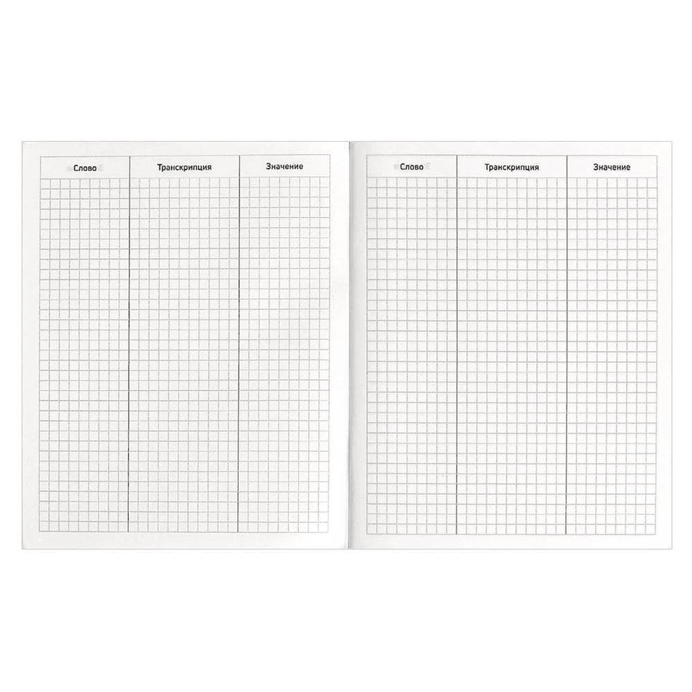 Тетрадь для записи иностранных слов  "Фразы с характером", А5, 48 листов, черный - 4