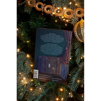 Книга "Книжная лавка фонарщика", Софи Остин - 6