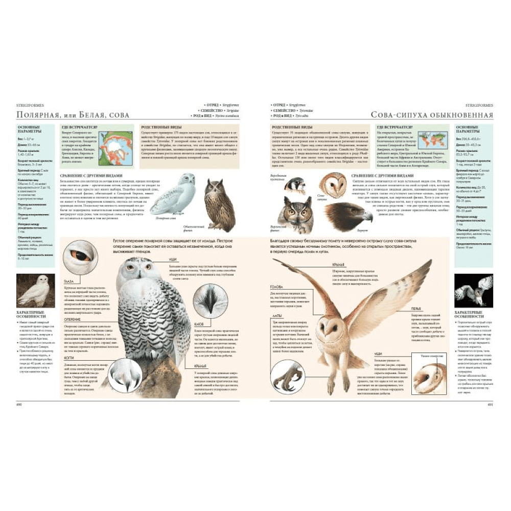 Книга "Животные мира. Моя большая энциклопедия" - 6