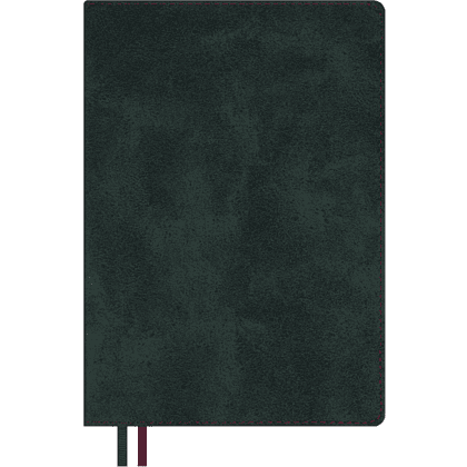 Ежедневник полудатированный "Тиволи Делавэ", А5, 384 страницы, зелёный