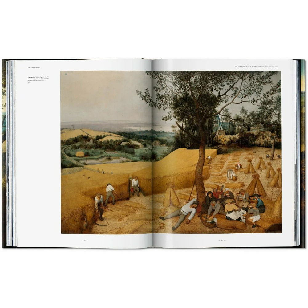 Книга на английском языке "Bruegel. The Complete Works", Jurgen Muller, Thomas Schauerte - 6