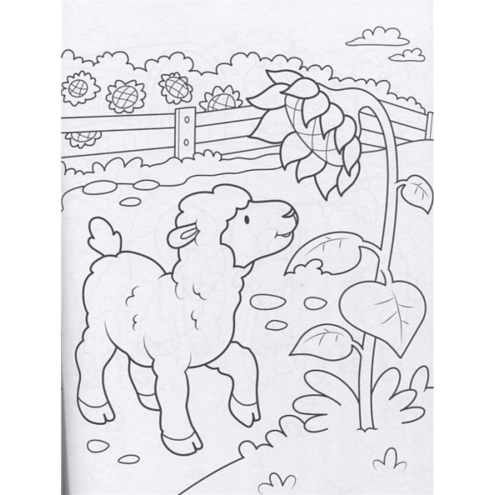 Раскраска "Супер-пупер раскраска. Домашние животные" - 2