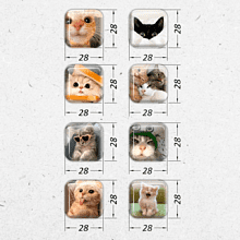 Набор наклеек объемных "Коты. Мемы №2", А6, 1 лист, 8 шт.