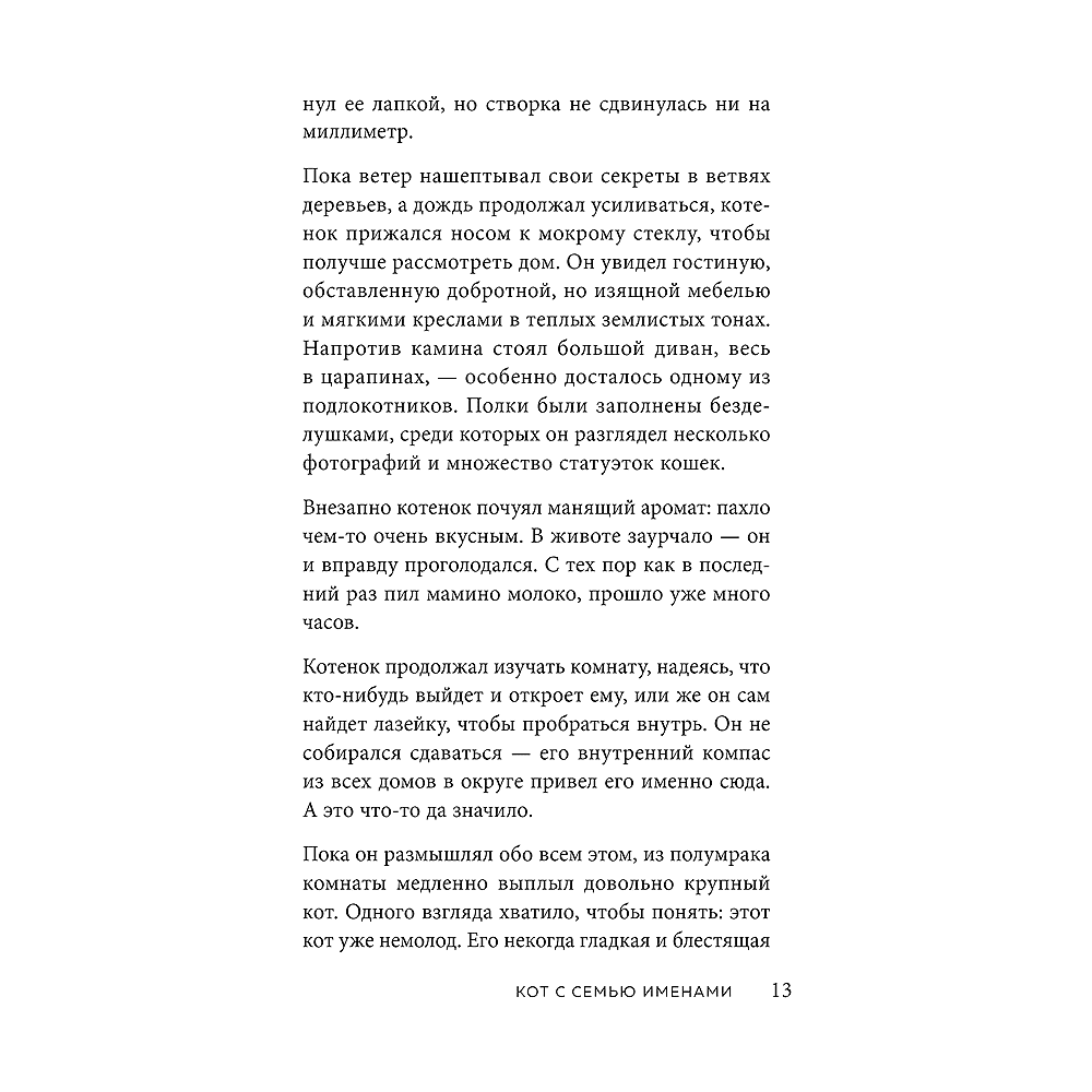 Книга "Кот с семью именами. Счастье приходит к тому, кто верит в чудеса", Федерико Сантаити - 9