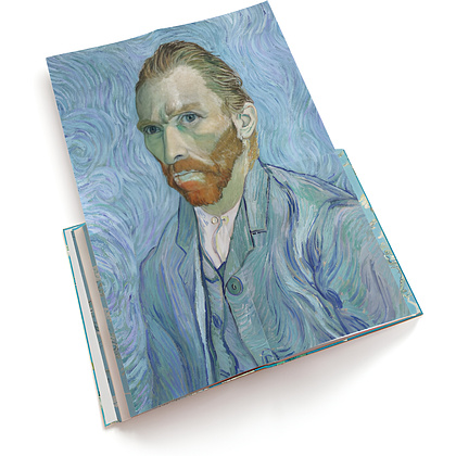 Книга на английском языке "Van Gogh. The Bigger Picture", Anne Sefrioui - 4