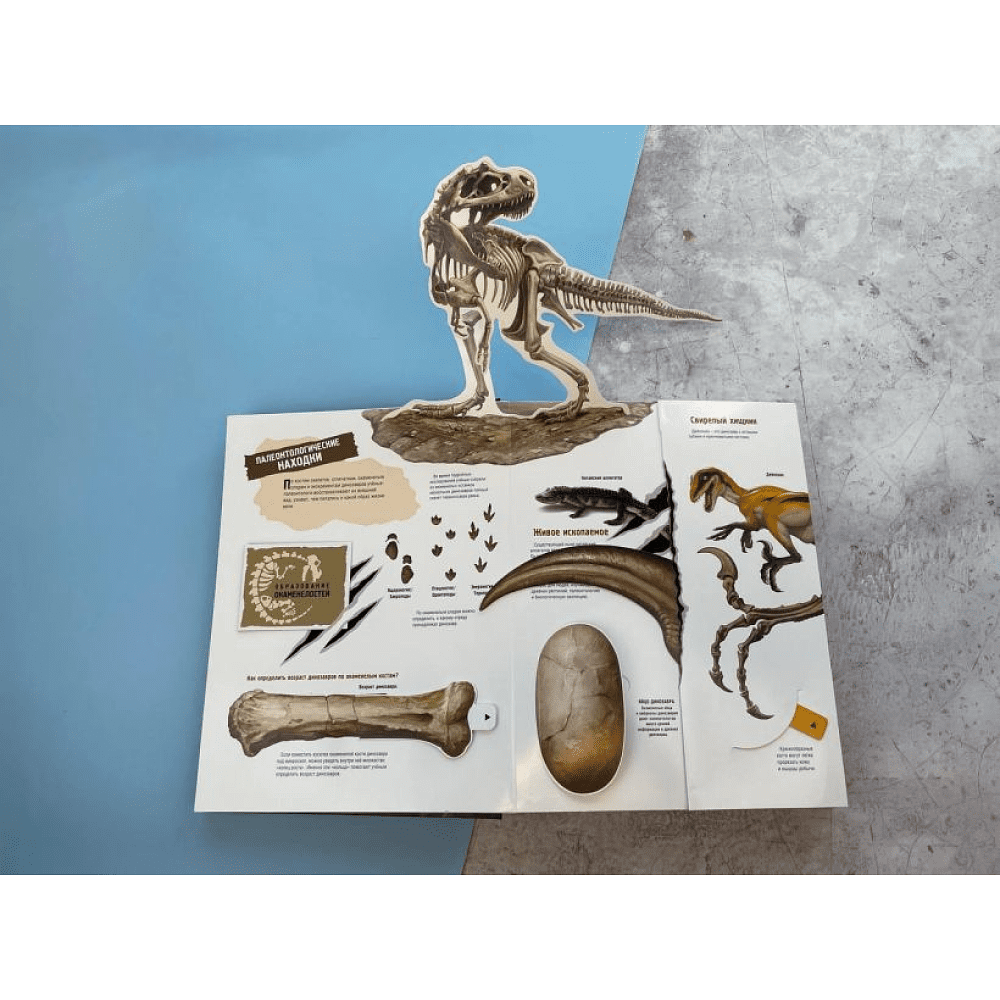 Книга "Динозавры. Книга, которая рычит" (Звук, 3D, интерактив) - 10