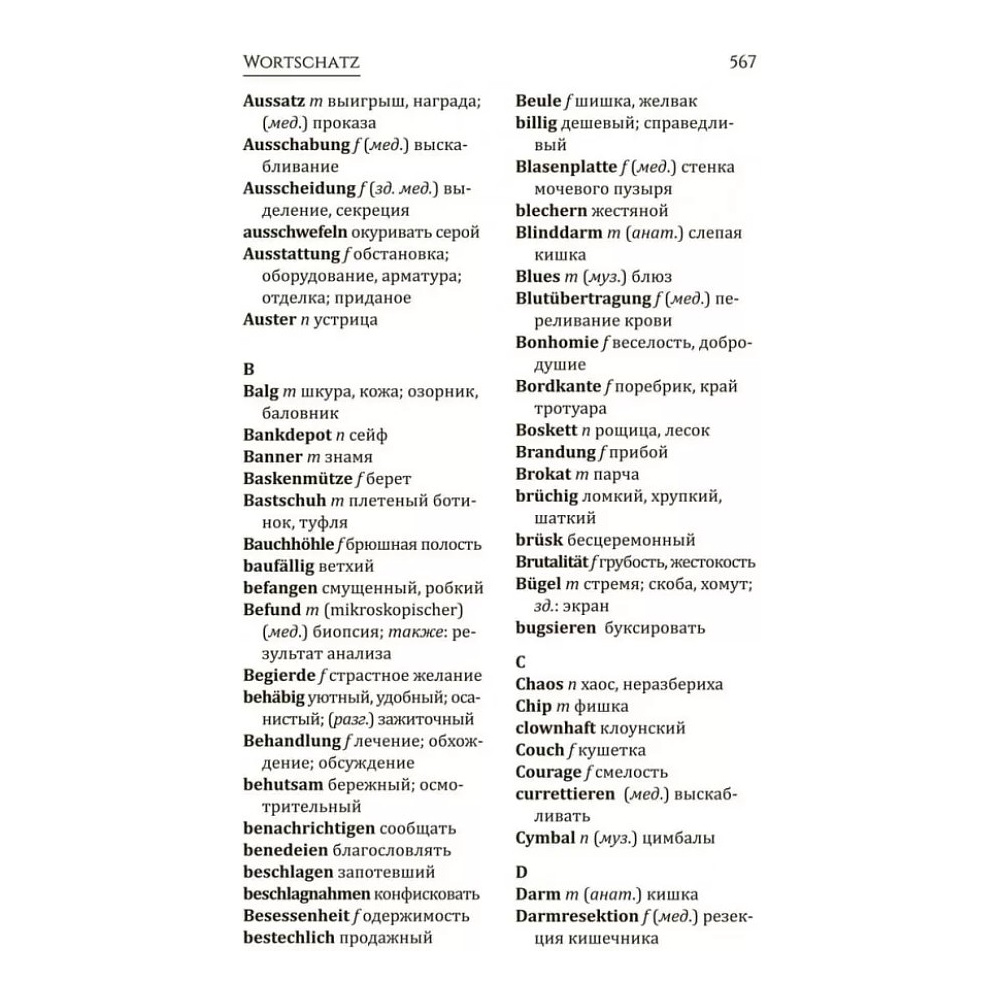 Книга "Триумфальная арка. Arc de Triomphe" (нем.яз.), Эрих Мария Ремарк - 8